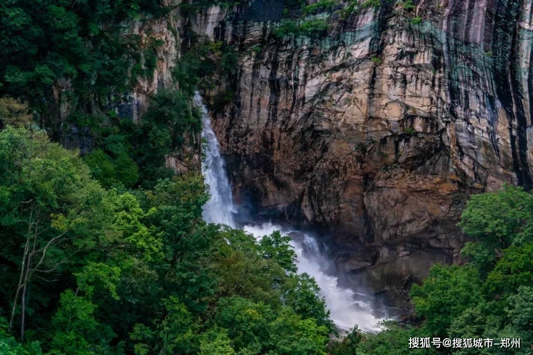 老山羊救援